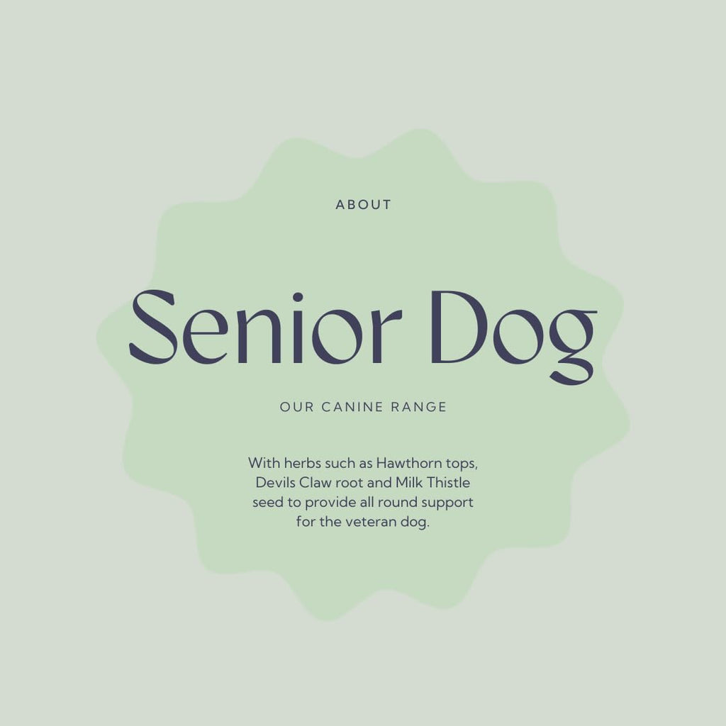 Senior Dog Health Supplement 4.4 oz Tub Z83090
