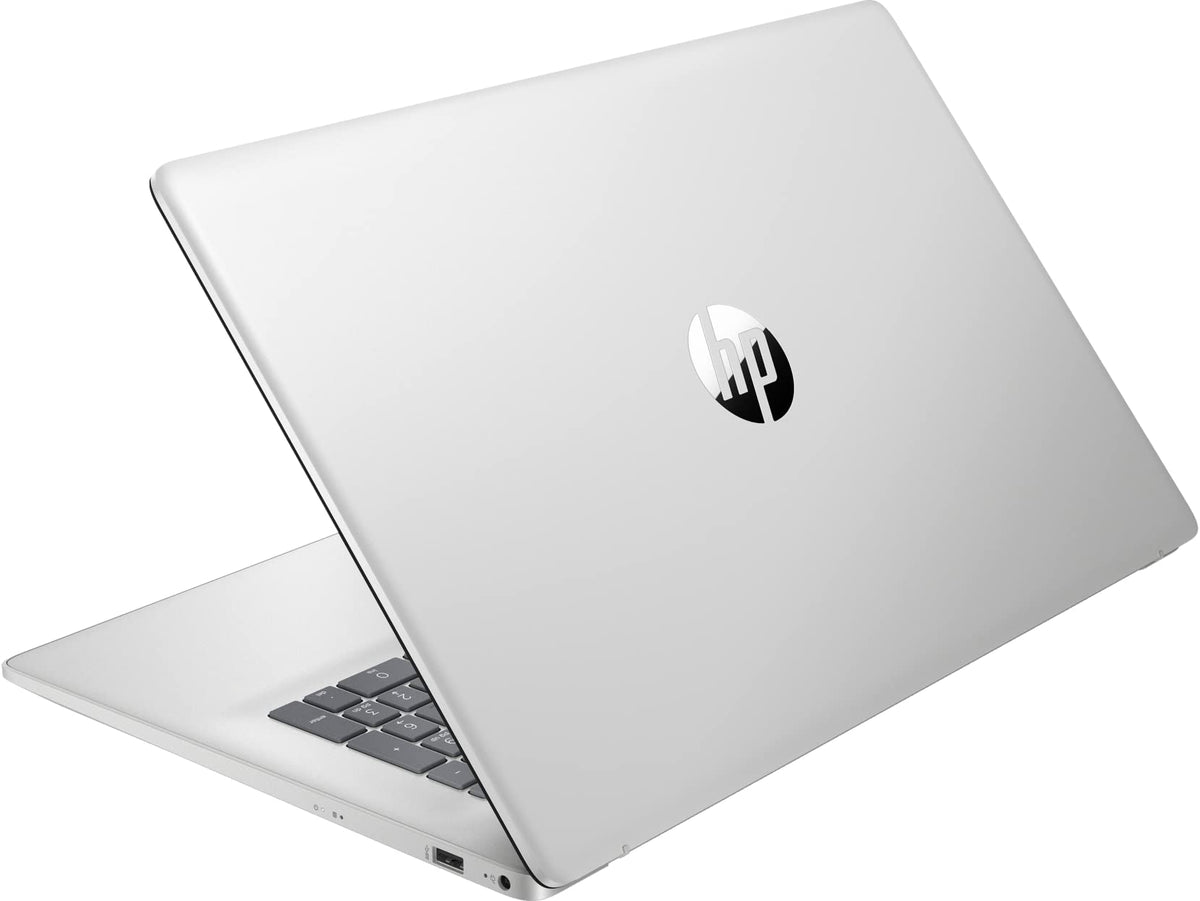 17.3" Touchscreen AMD Ryzen 5 16 GB 1 TB Laptop F519