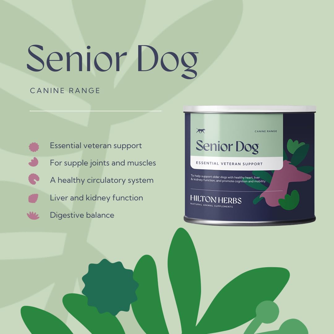 Senior Dog Health Supplement 4.4 oz Tub Z83090