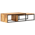 Brown Solid Sheesham Wood Nesting Coffee Table Set of 2 X155
