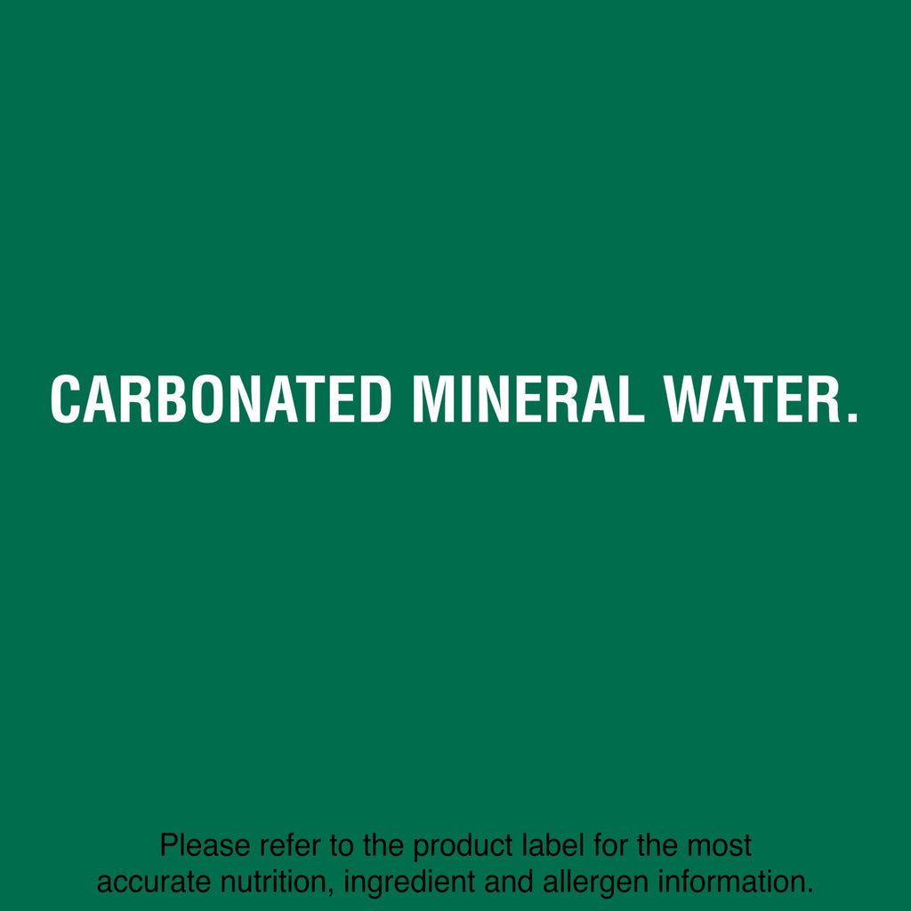 Carbonated Mineral Water Plastic Bottles 16.9 Fl Oz Pack of 24 L948