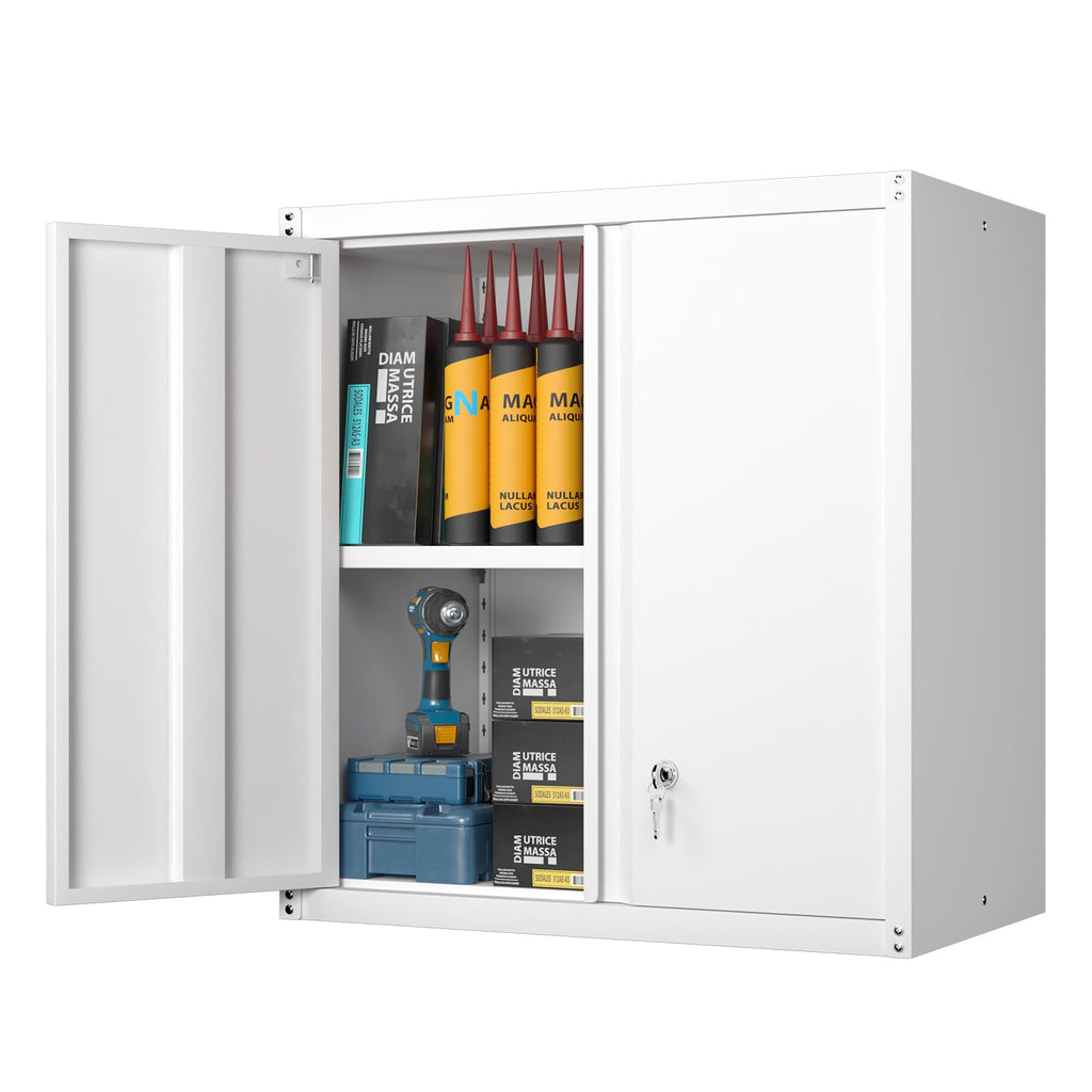 Metal Wall Mounted Storage Cabinet with Lock R821