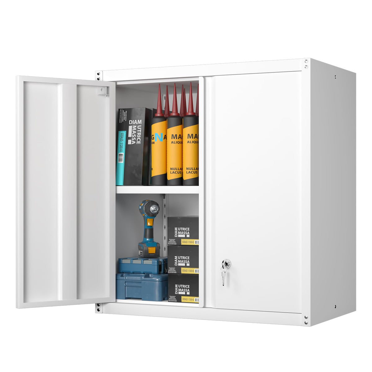 Metal Wall Mounted Storage Cabinet with Lock R821