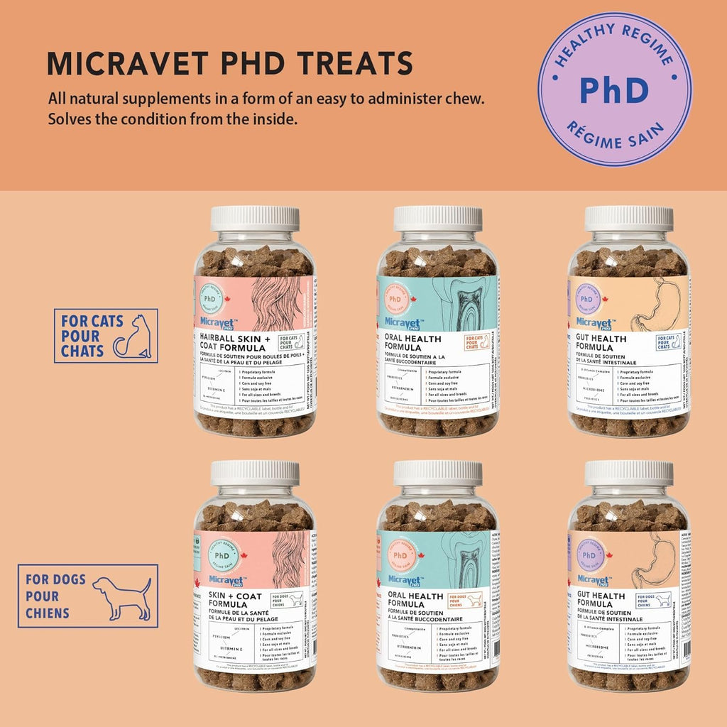 Probiotic Soft Chews for Cats X798370