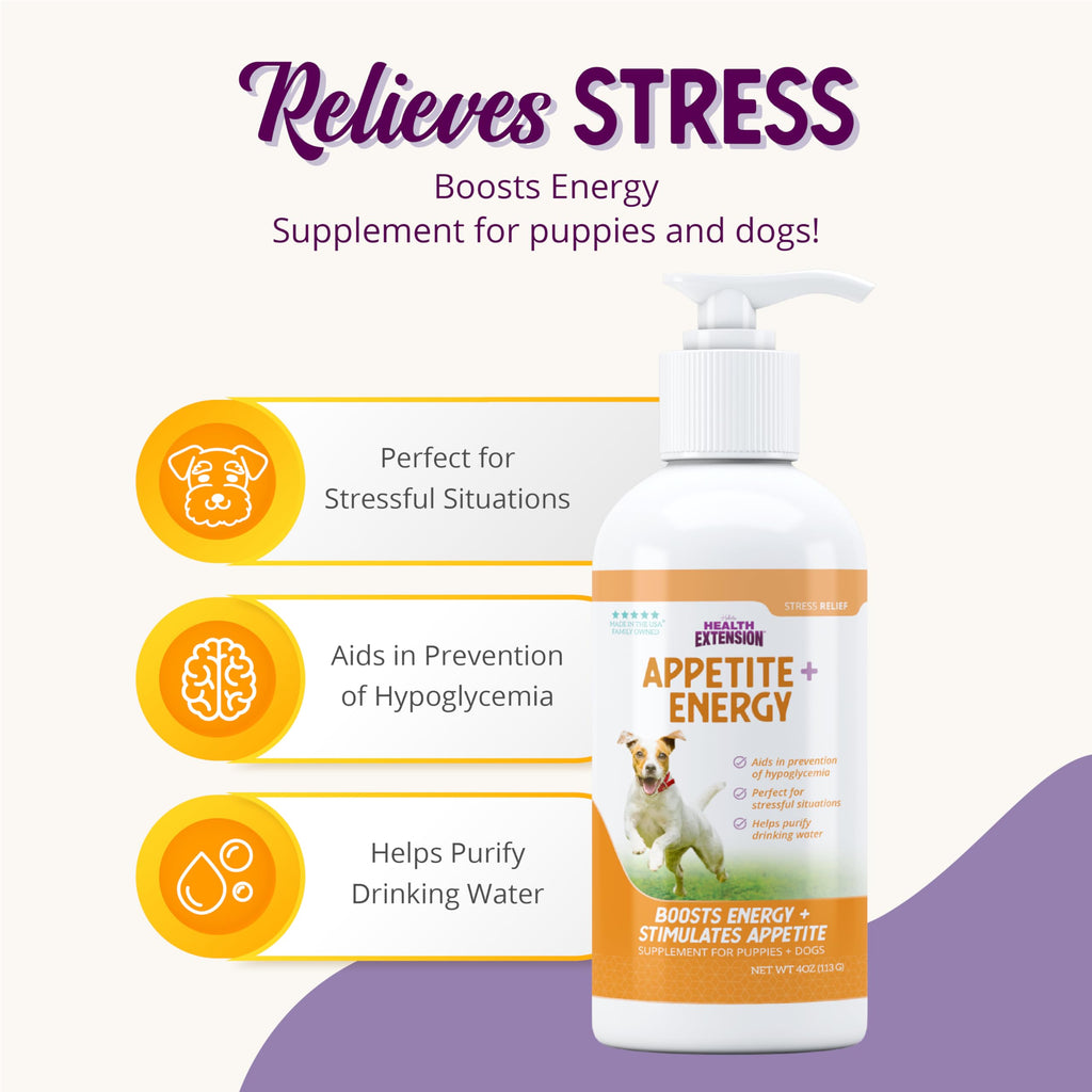Stress Relief Supplement for Dogs, 8oz I909168