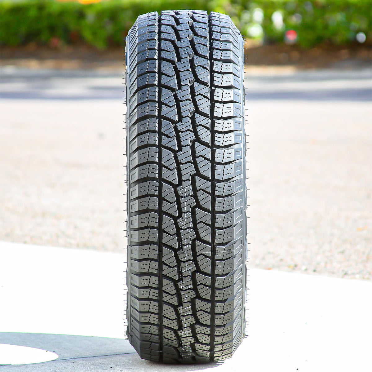 275/60R20 Tires R40801