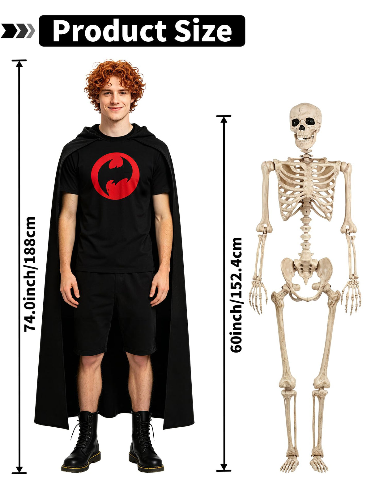 Life Size Posable Skeleton with Movable Joints B3506
