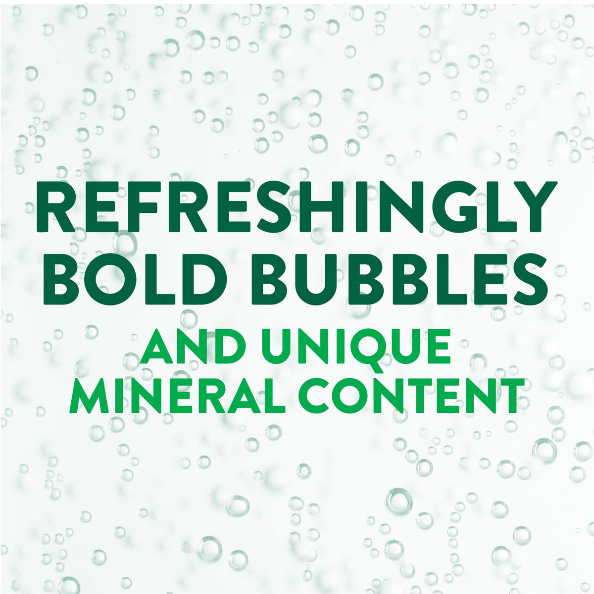 Carbonated Mineral Water Plastic Bottles 16.9 Fl Oz Pack of 24 L948