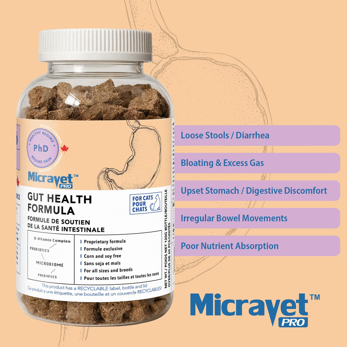 Probiotic Soft Chews for Cats X798370
