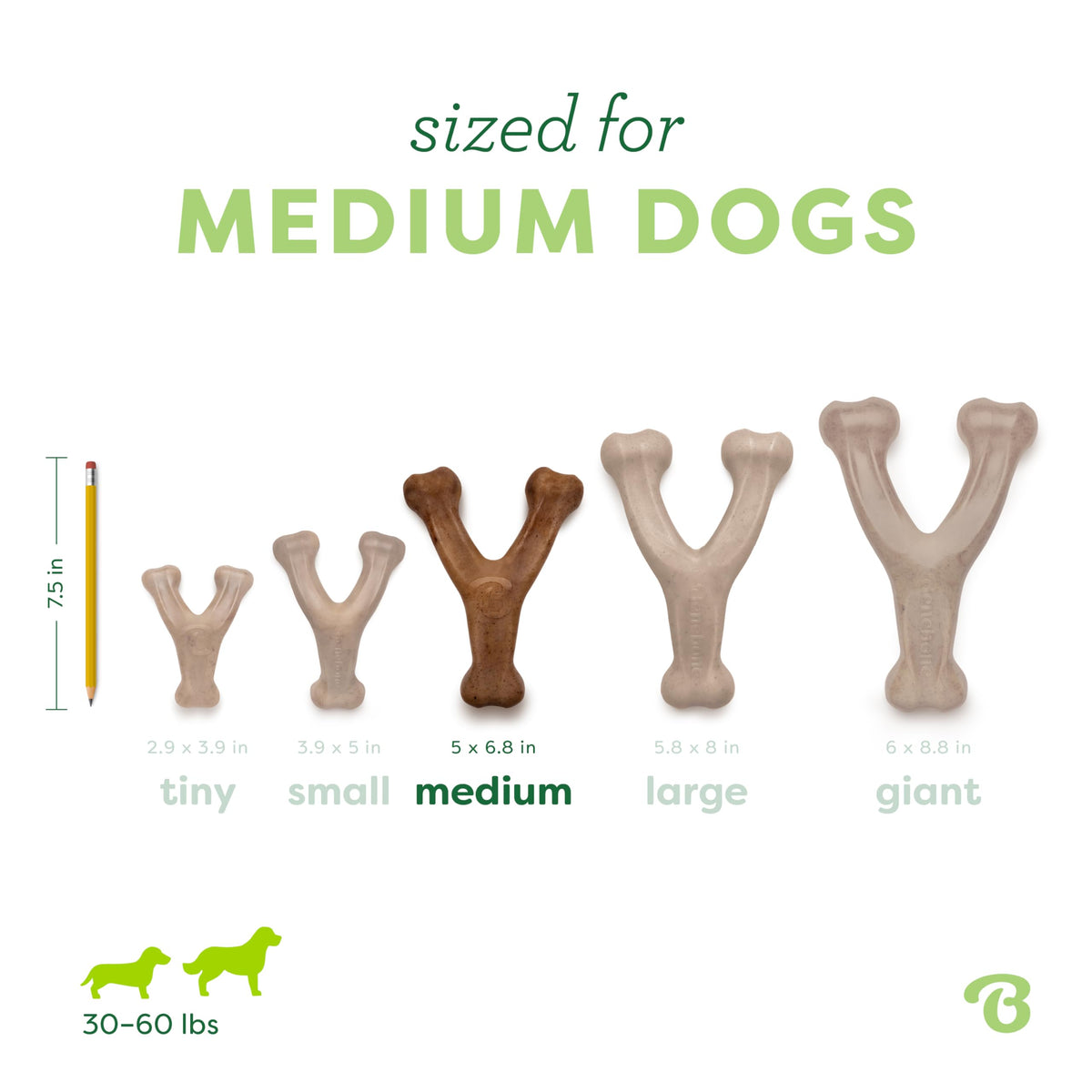Wishbone Dog Chew Toy Medium U262049