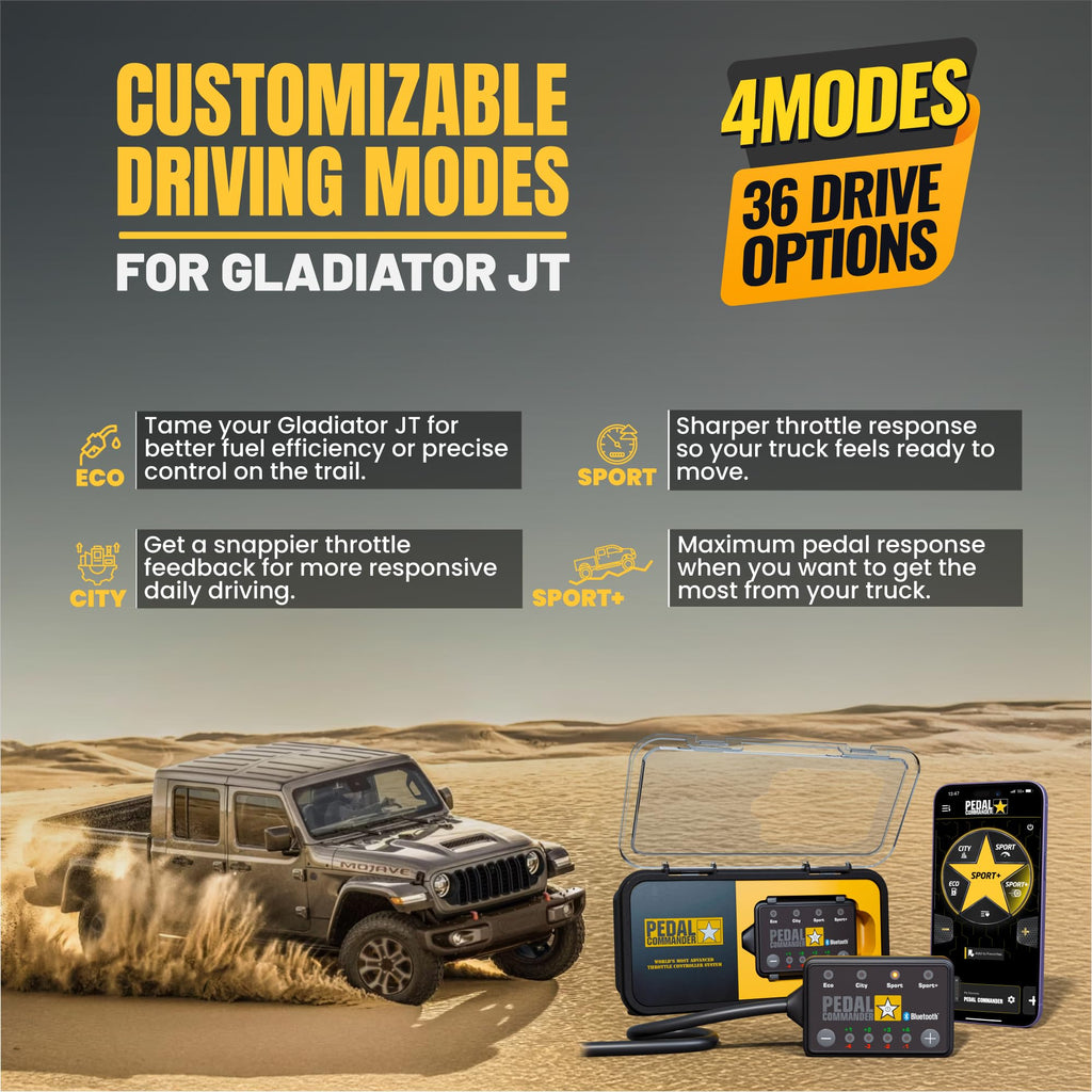 Throttle Controller Y168