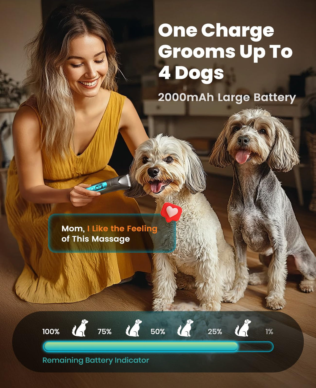 4-in-1 Dog Grooming Kit with LED Light C332