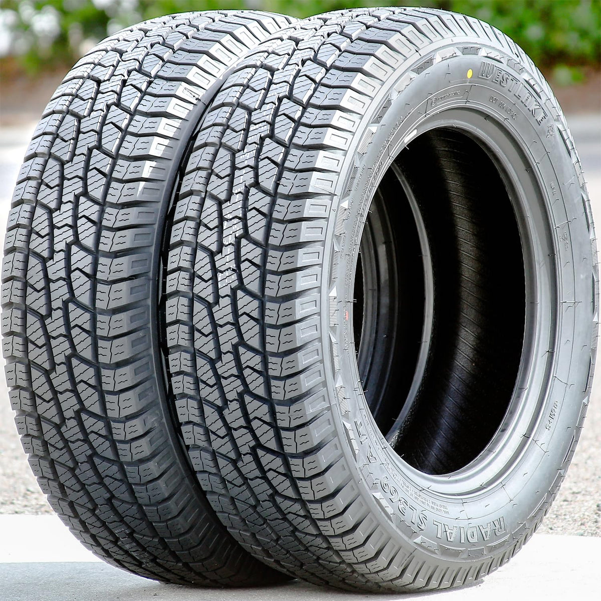 275/60R20 Tires R40801
