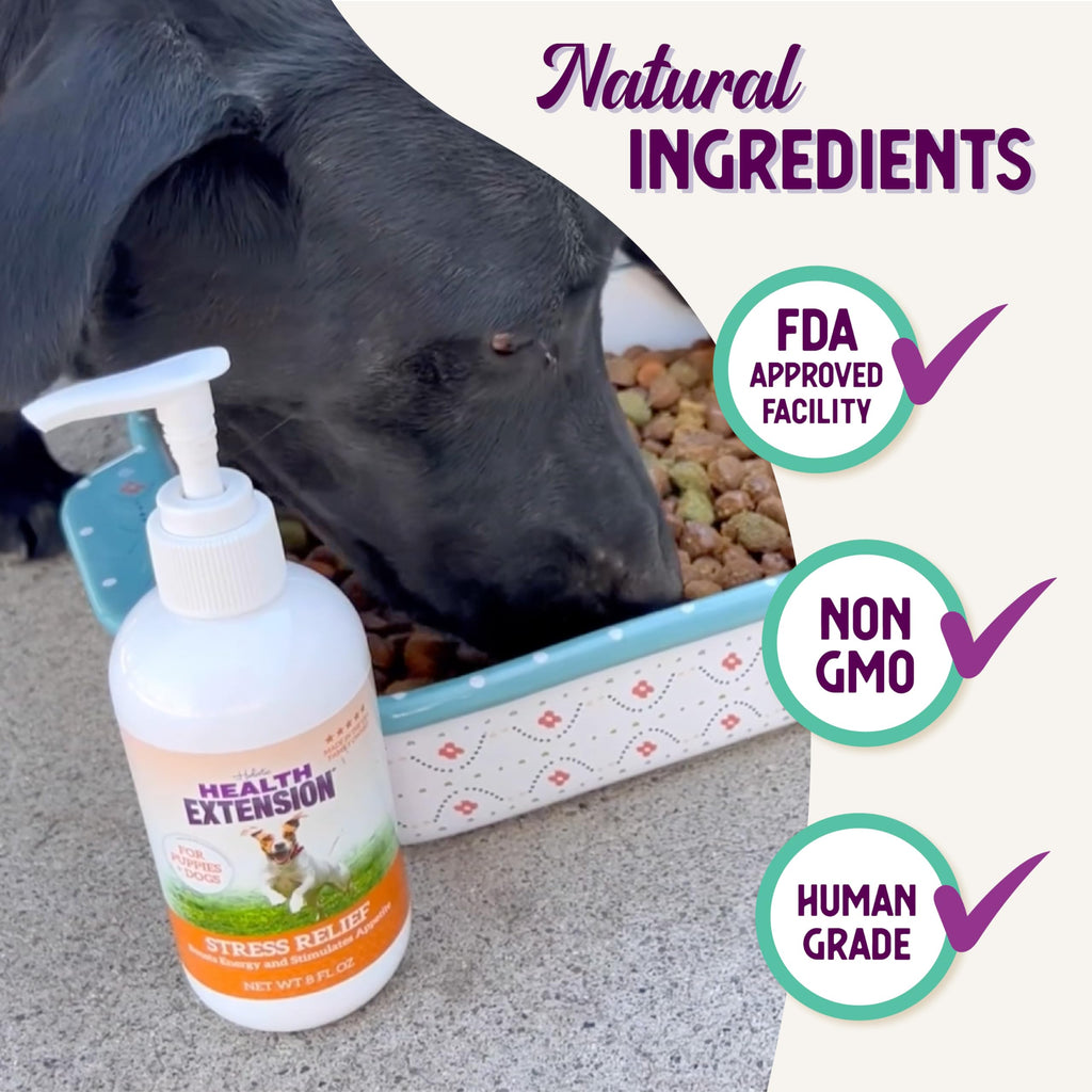 Stress Relief Supplement for Dogs, 8oz I909168
