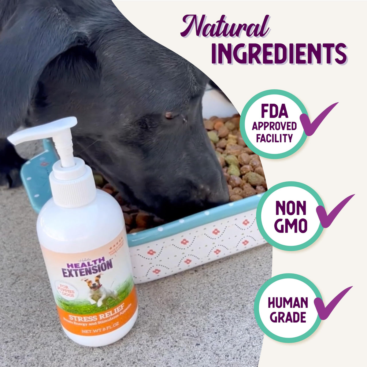 Stress Relief Supplement for Dogs, 8oz I909168