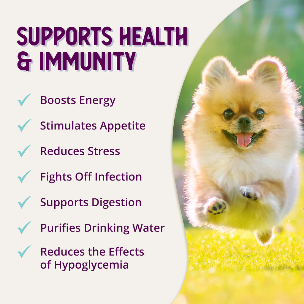 Stress Relief Supplement for Dogs, 8oz I909168