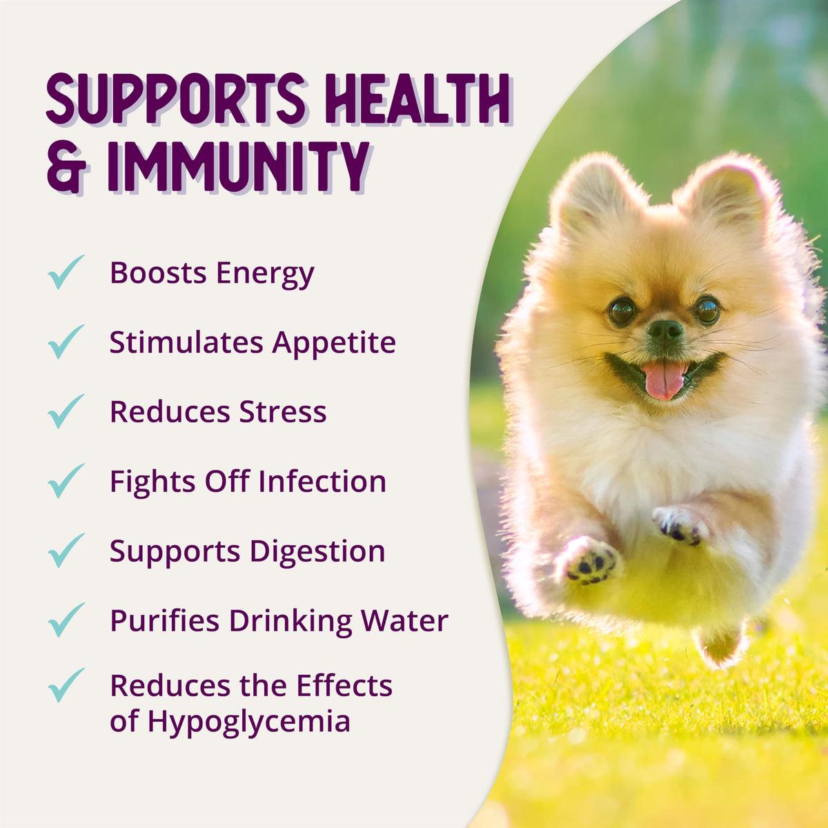 Stress Relief Supplement for Dogs, 8oz I909168