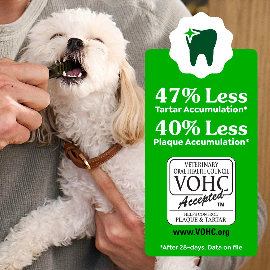Natural Dental Dog Treats Fresh Mint Flavor 12 Count D43002