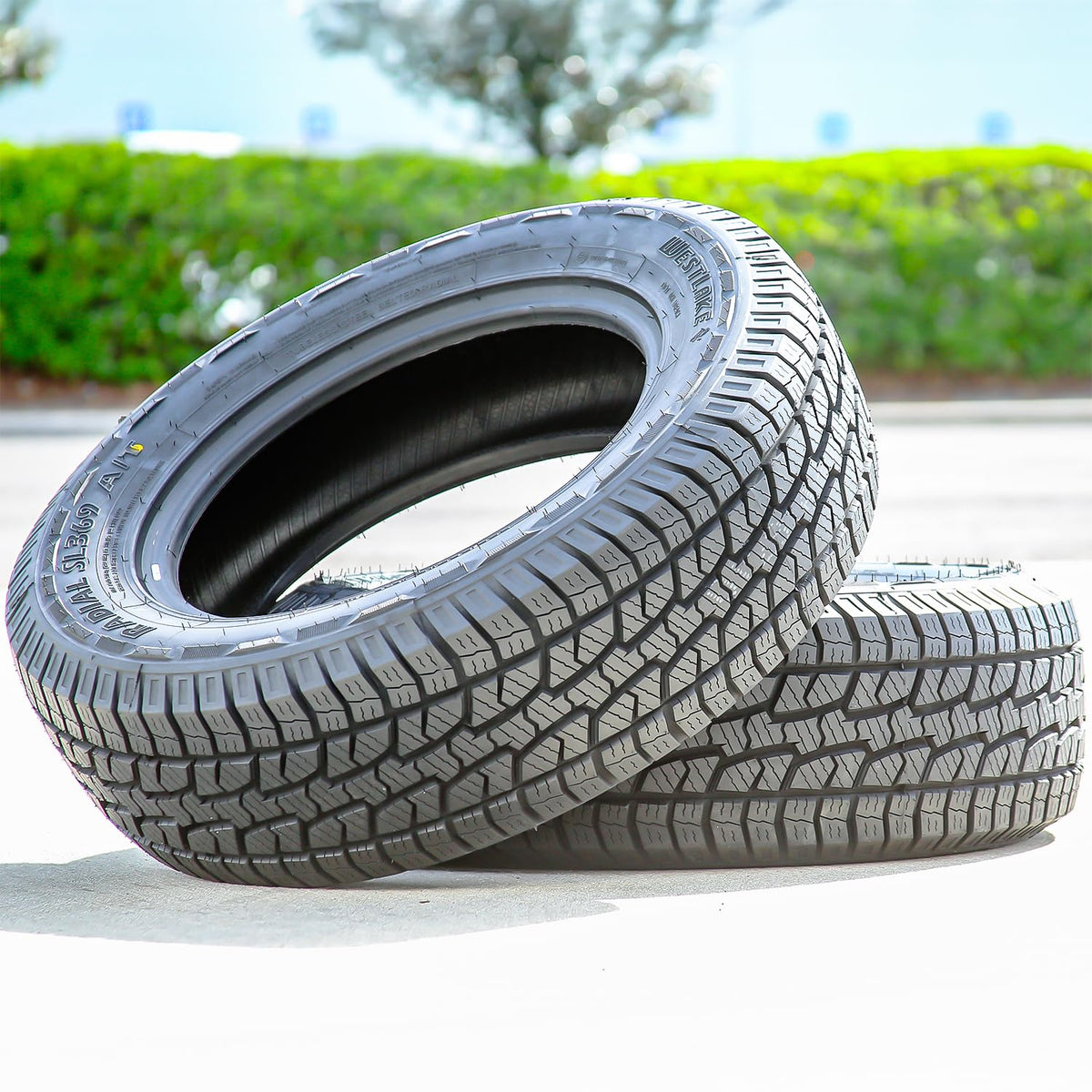 275/60R20 Tires R40801
