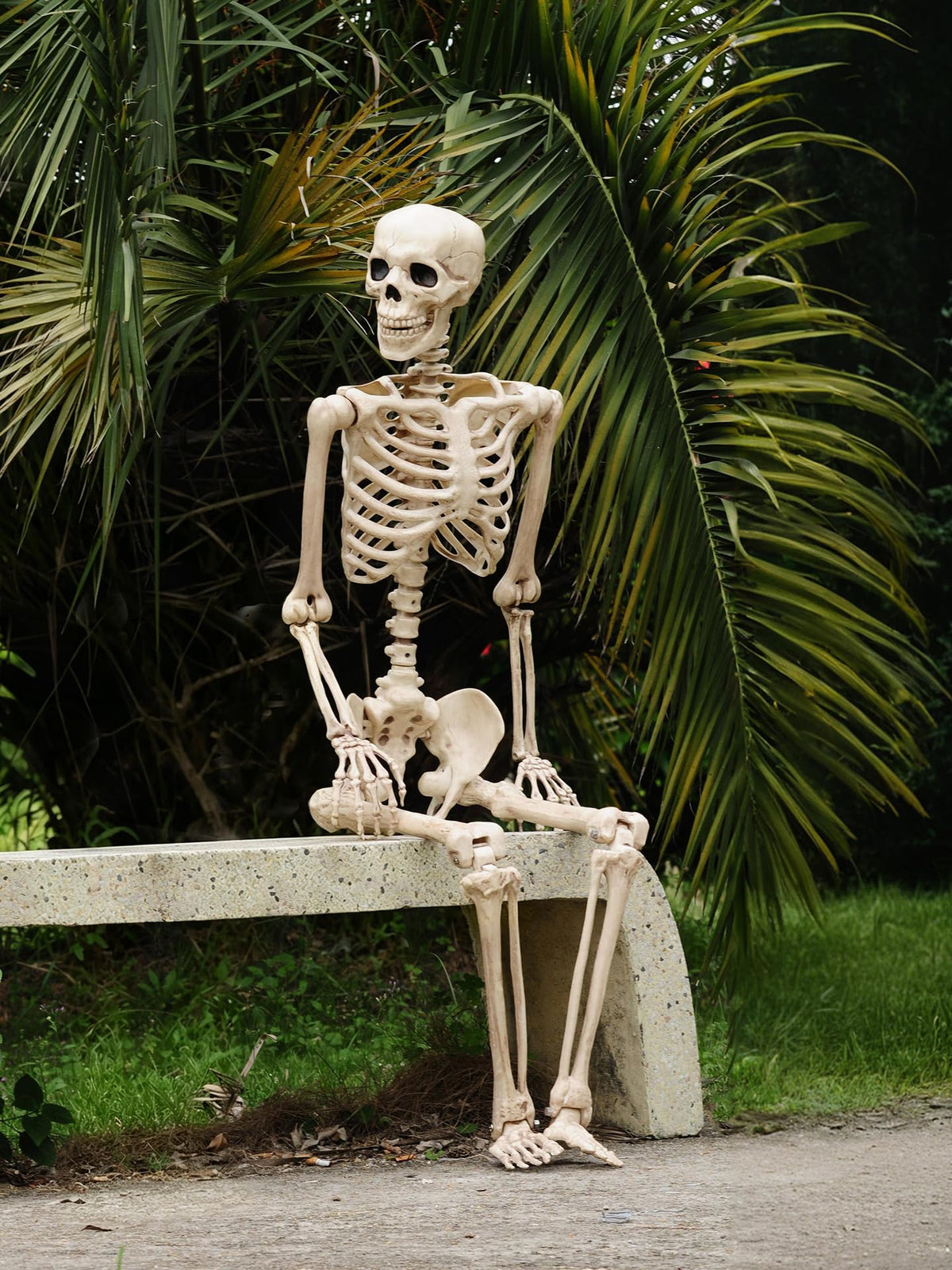 Life Size Posable Skeleton with Movable Joints B3506