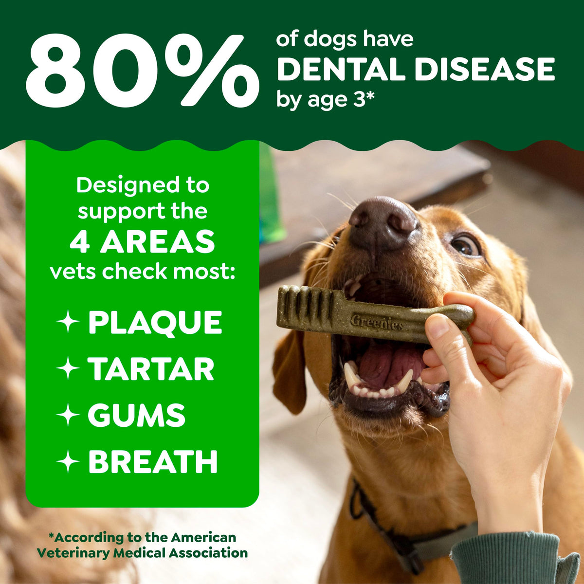 Natural Dental Dog Treats Fresh Mint Flavor 12 Count D43002