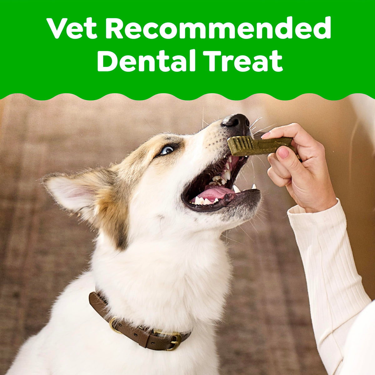 Natural Dental Dog Treats Fresh Mint Flavor 12 Count D43002