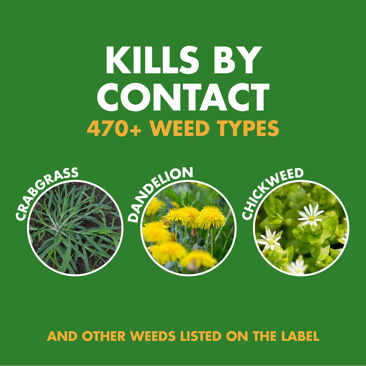 32 Oz Concentrate Weed Killer I769