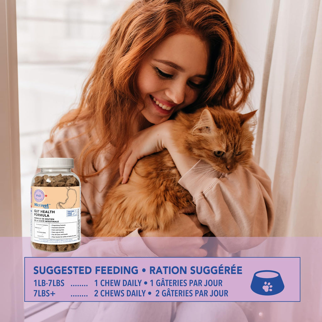 Probiotic Soft Chews for Cats X798370