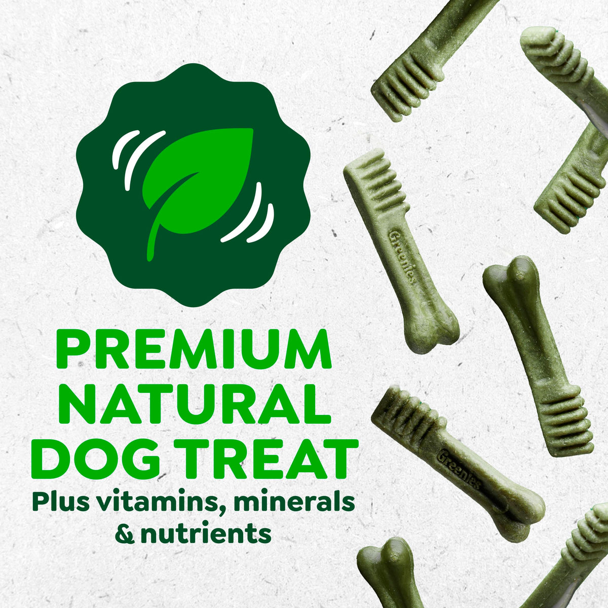 Natural Dental Dog Treats Fresh Mint Flavor 12 Count D43002