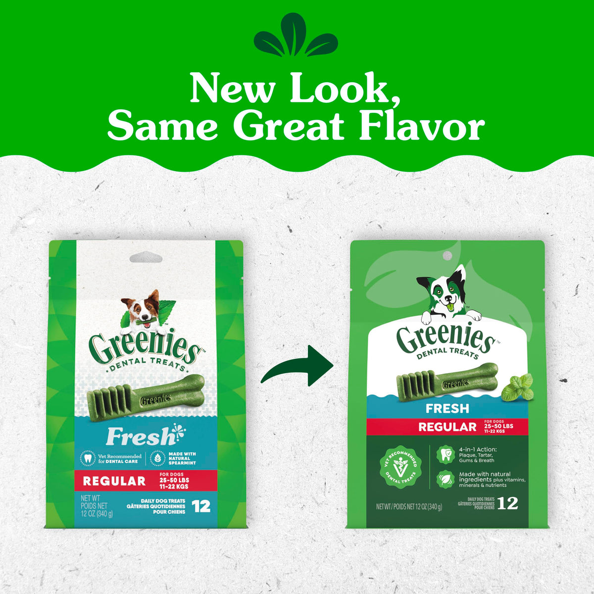Natural Dental Dog Treats Fresh Mint Flavor 12 Count D43002