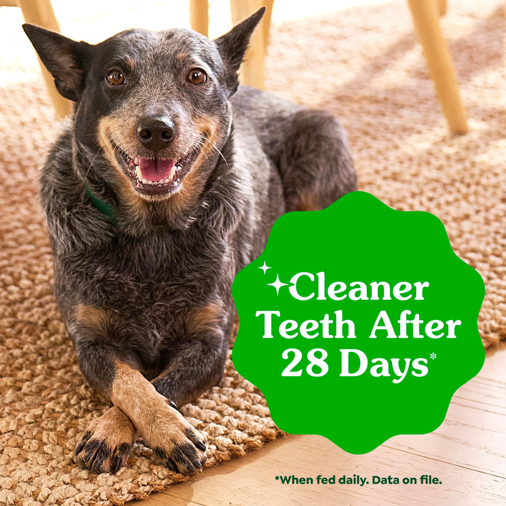 Natural Dental Dog Treats Fresh Mint Flavor 12 Count D43002